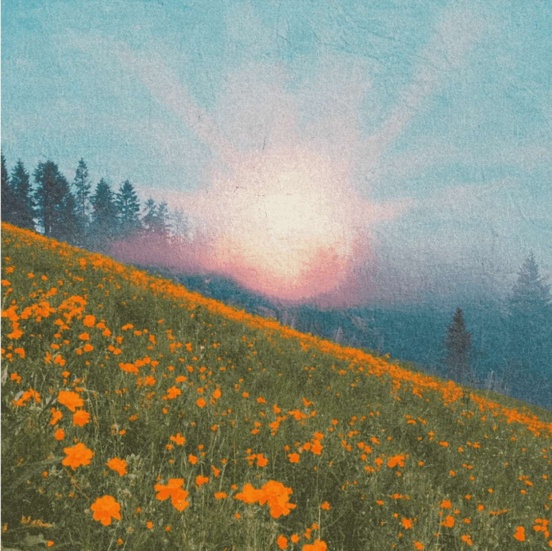 Abstract Figure Warm Tones