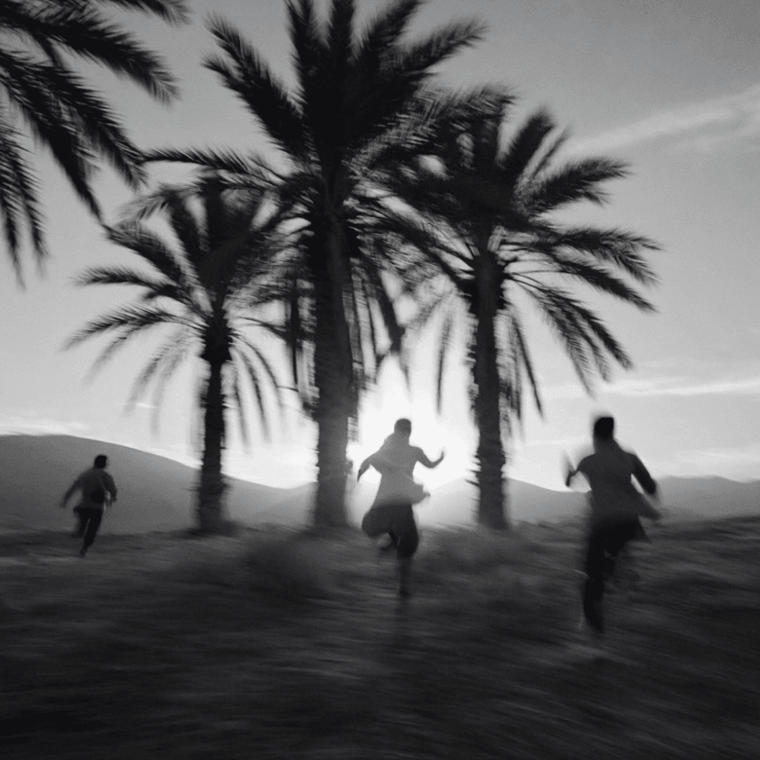 Palm Trees Runners Motion